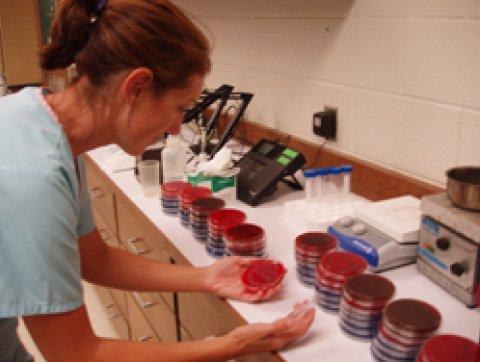 Dental Research Lab